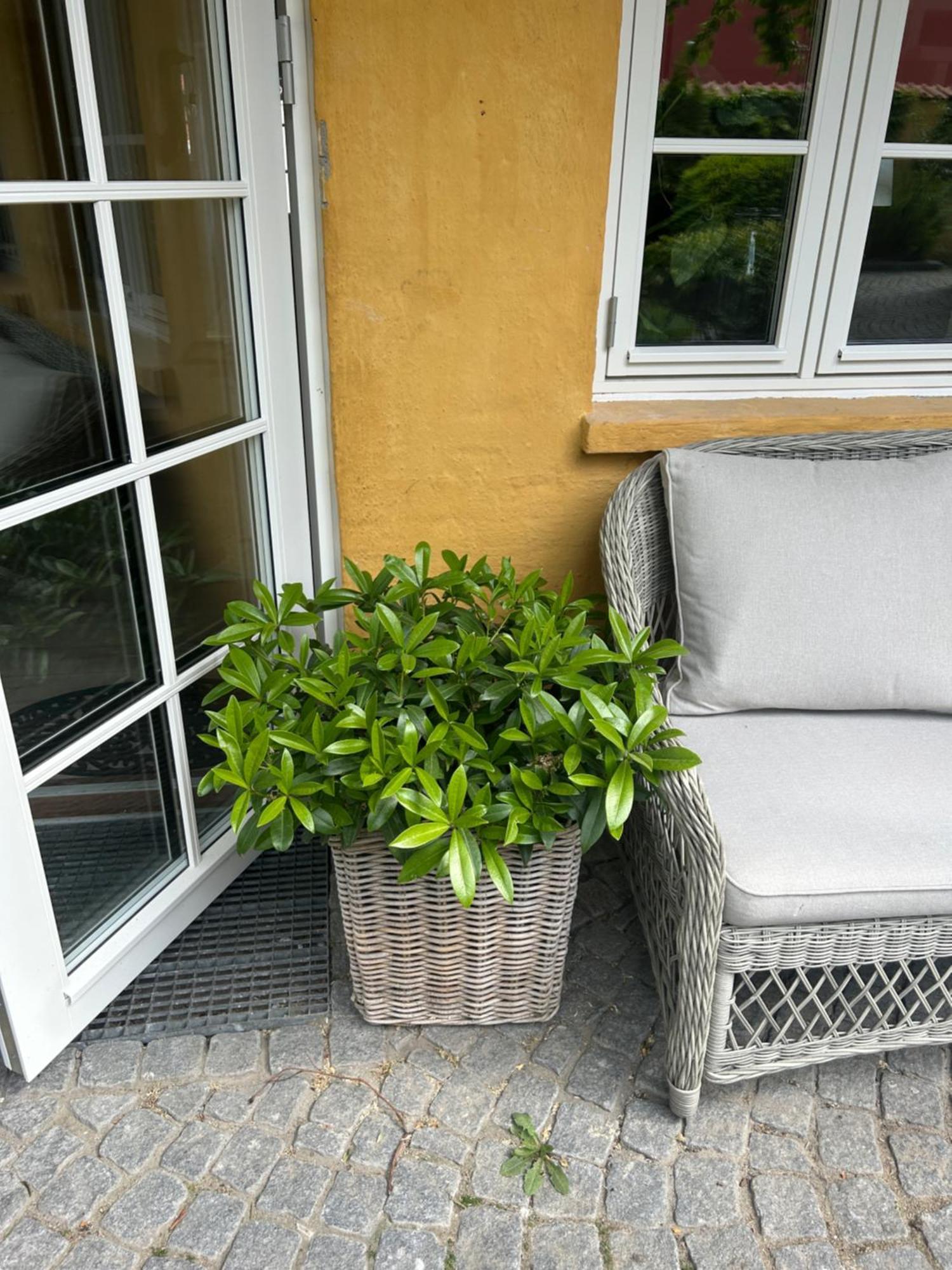 Vidunderligt Hus M/Egen Gardhave - Midt I Centrum Apartamento Ålborg Exterior foto